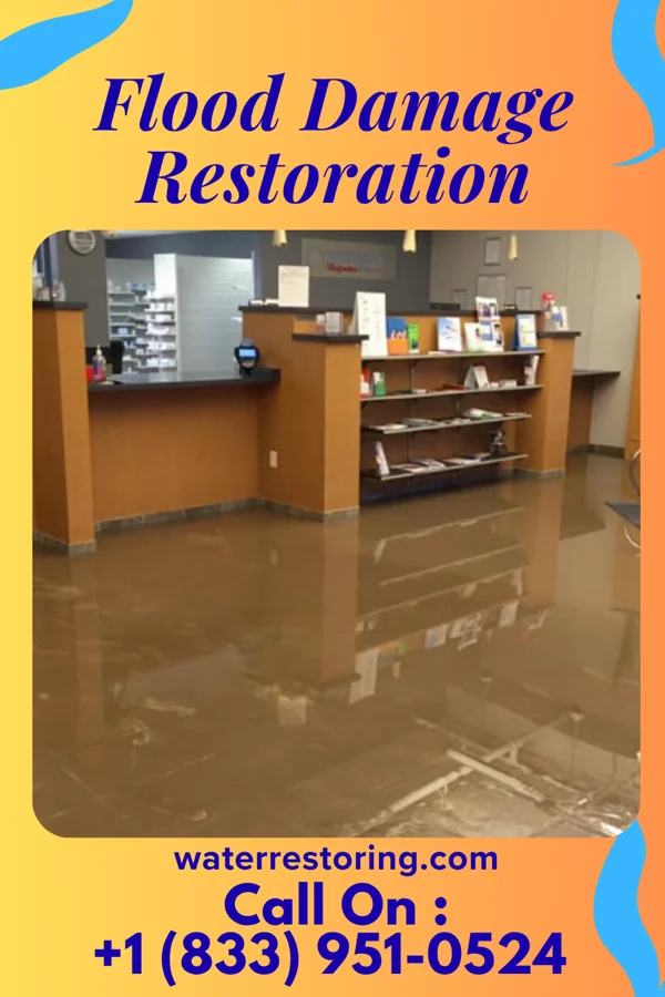 Flood Damage Restoration in Farmington, IL