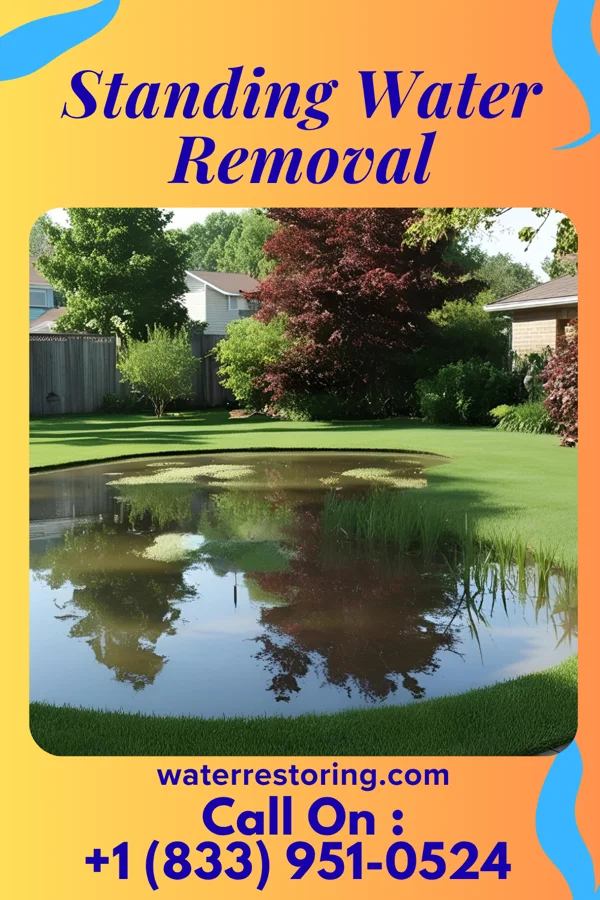 Standing Water Removal in Farmington, IL